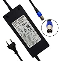 YZPOWER 42 V 2 A Cargador para bicicleta eléctrica- cargador de batería de litio Scooter XLR Conector
